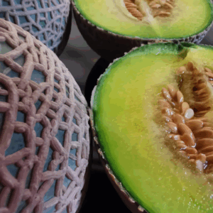 Earl’s Mulan – Bulk Order: 6 Premium Melons